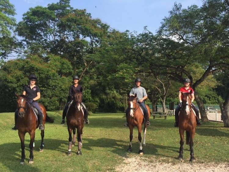 SG Horse Ranch